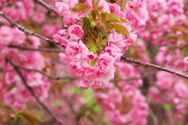 苏州太仓线下个人借款平台一站式服务，轻松解决资金难题