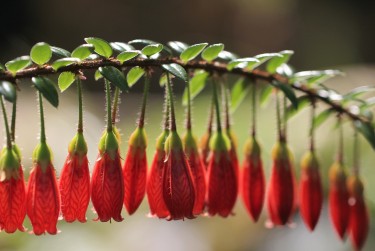 苏州太仓零用贷短借：轻松解决临时资金需求