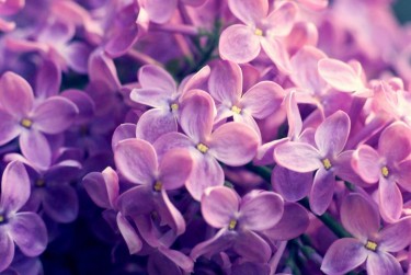 苏州太仓企业急用钱贷款攻略：快速融资解燃眉之急